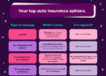 Understanding Car Insurance: A Beginner’s Guide | Arizona Car Sales