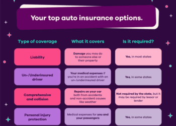 Understanding Car Insurance: A Beginner’s Guide | Arizona Car Sales