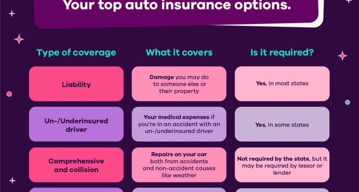 Understanding Car Insurance: A Beginner’s Guide | Arizona Car Sales